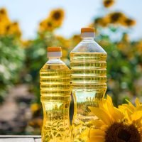 Sunflower oil in a bottle on the field. Selective focus. Nature.